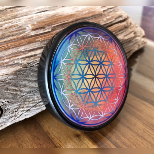 Plaque de rechargement en shungite Fleur de vie Ø11cm Multicolore. Nettoie et recharge vos pierres...