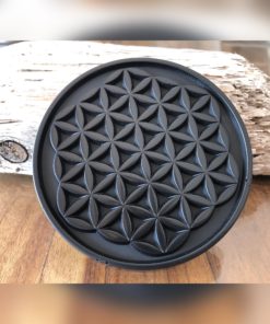 Plaque de rechargement en shungite Fleur de vie Ø11cm Multicolore. Nettoie et recharge vos pierres...