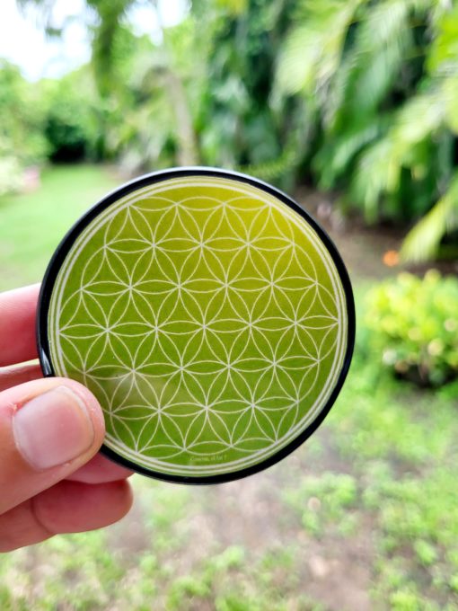 Plaque de rechargement Fleur de vie-Shungite, "VERT POMME". Nettoie et recharge vos pierres... – Image 3