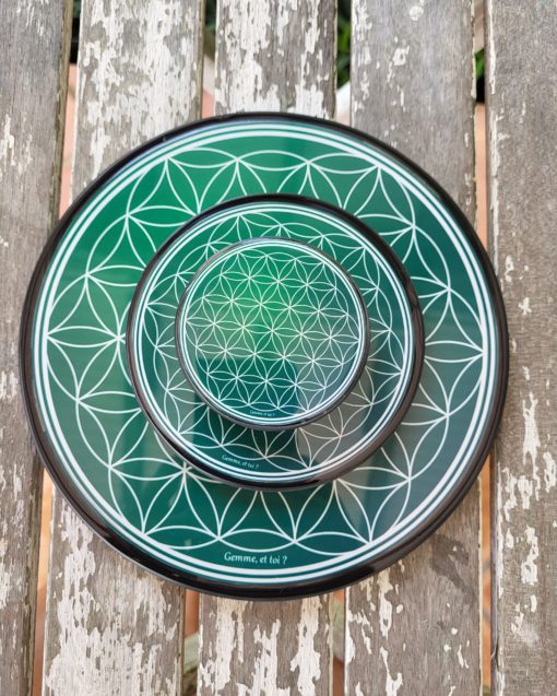 Plaque de rechargement Fleur-Shungite, "VERTE N°2". Nettoie et recharge vos pierres...